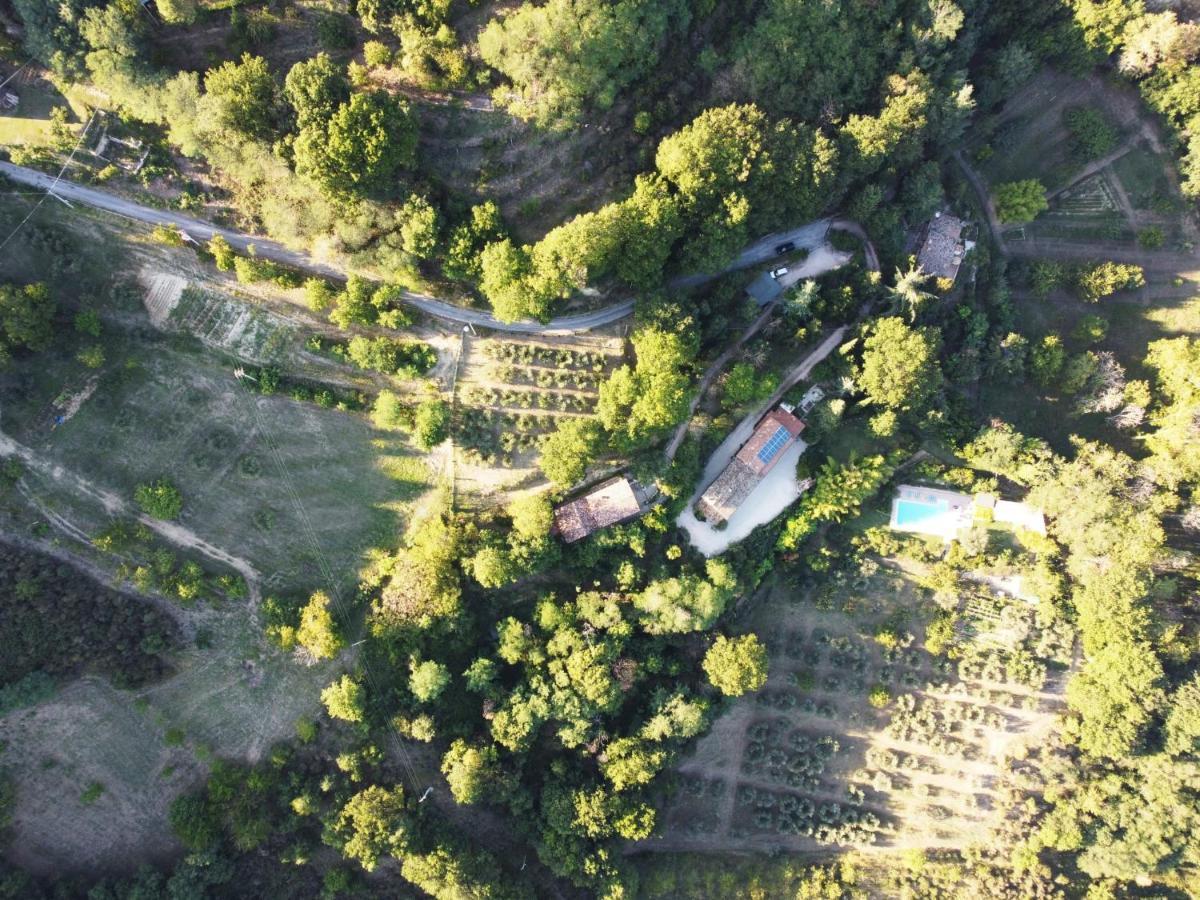 Bed And Breakfast Il Governatore Urbino Buitenkant foto