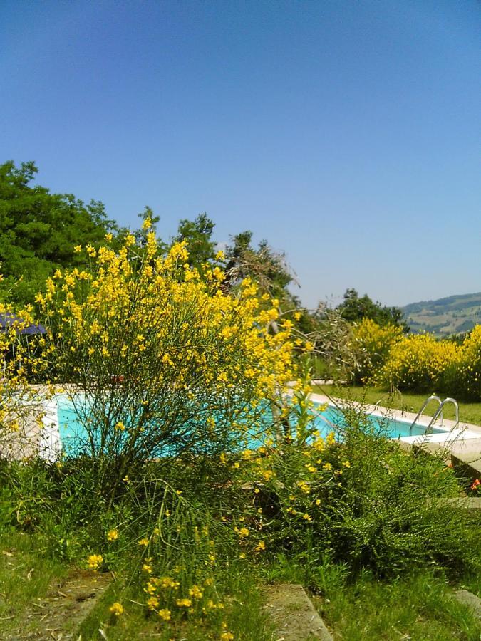 Bed And Breakfast Il Governatore Urbino Buitenkant foto