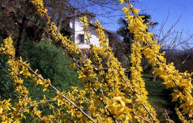 Bed And Breakfast Il Governatore Urbino Buitenkant foto