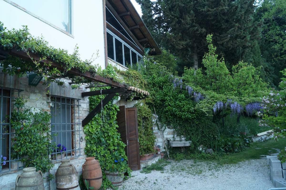 Bed And Breakfast Il Governatore Urbino Buitenkant foto