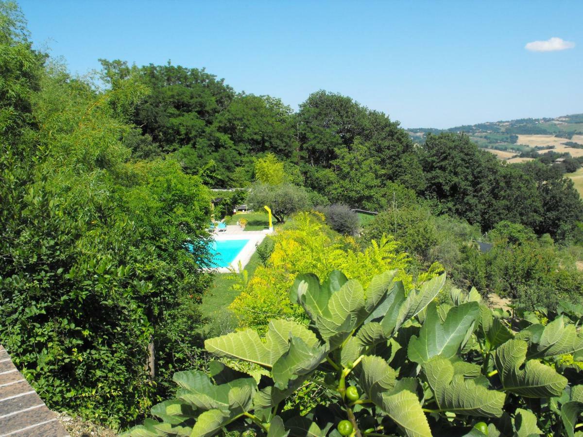 Bed And Breakfast Il Governatore Urbino Buitenkant foto